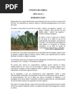 Download Cultivo Aloe Vera by Eliecer Rodas Polo SN84734093 doc pdf