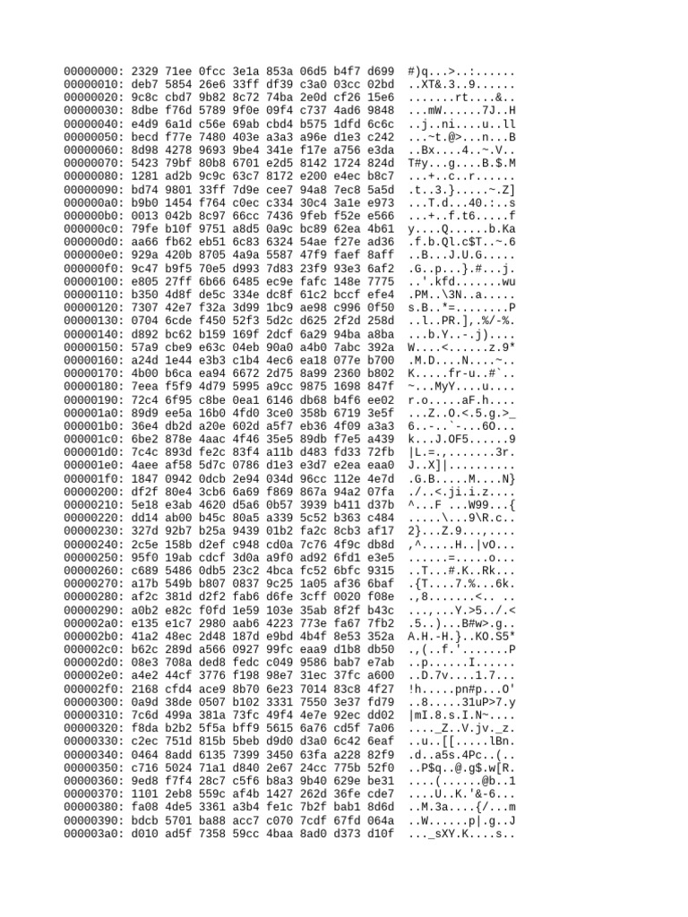 Hexadecimal Data Dump Analysis | PDF