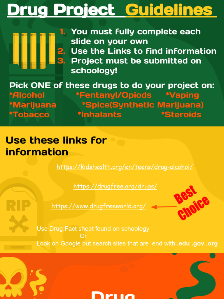 Inhalants: Project Guidelines and Effects | PDF