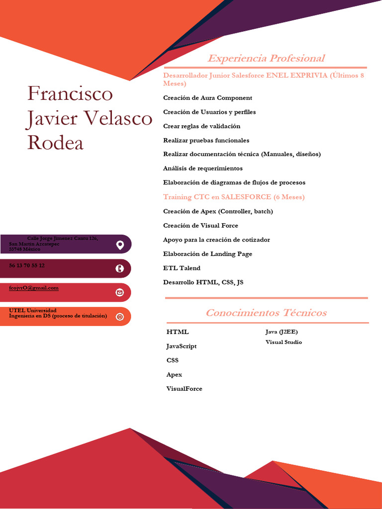 CV Francisco Javier Velasco ACT | PDF