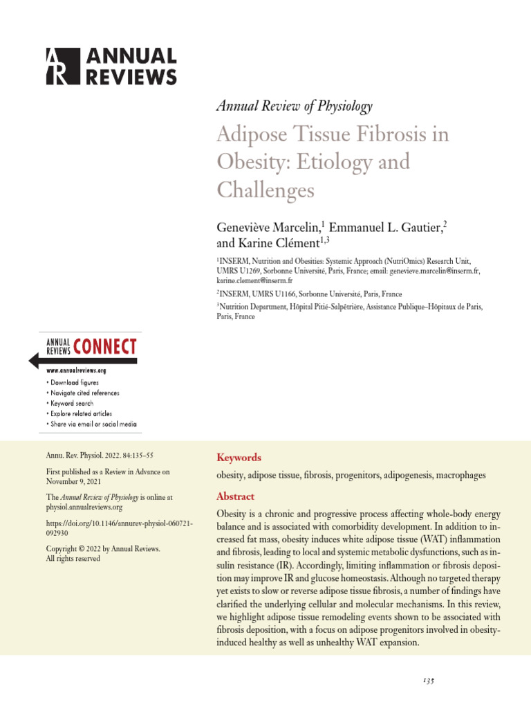 Adipose Tissue Fibrosis in Obesity | PDF | Adipose Tissue | Adipocyte
