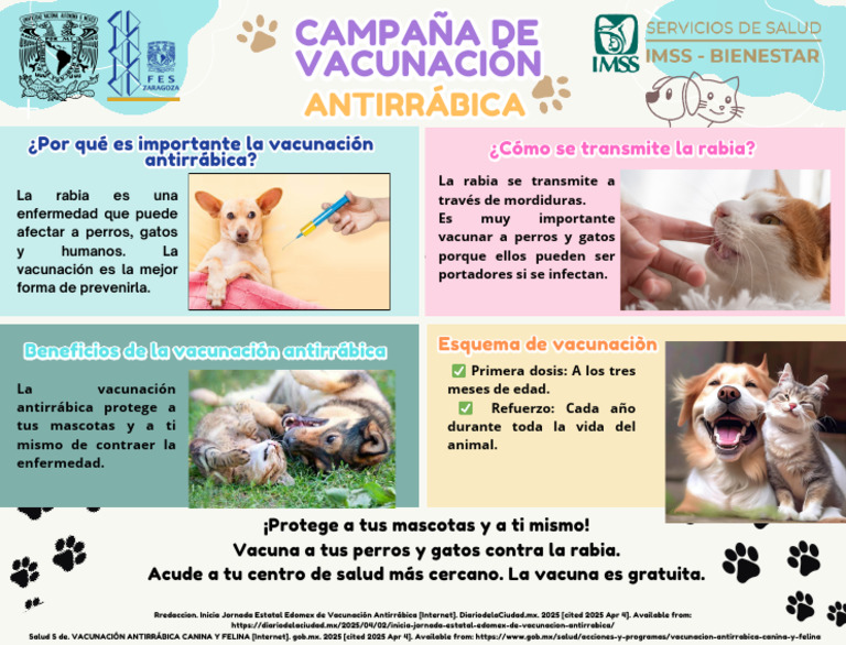 Esquema de Vacunación Antirrábica | PDF | Rabia | Medicina