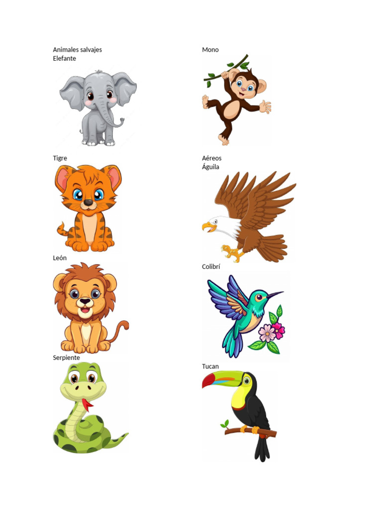 Animales Salvajes y Colores | PDF