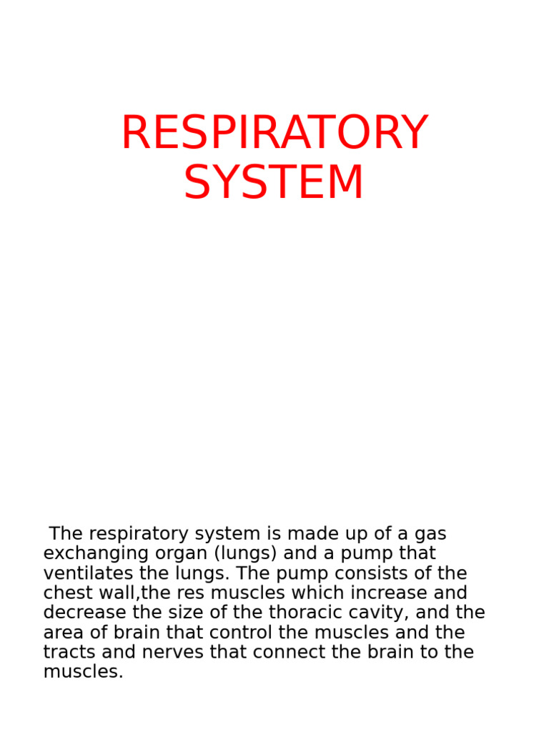 Overview of the Respiratory System | PDF | Exhalation | Lung
