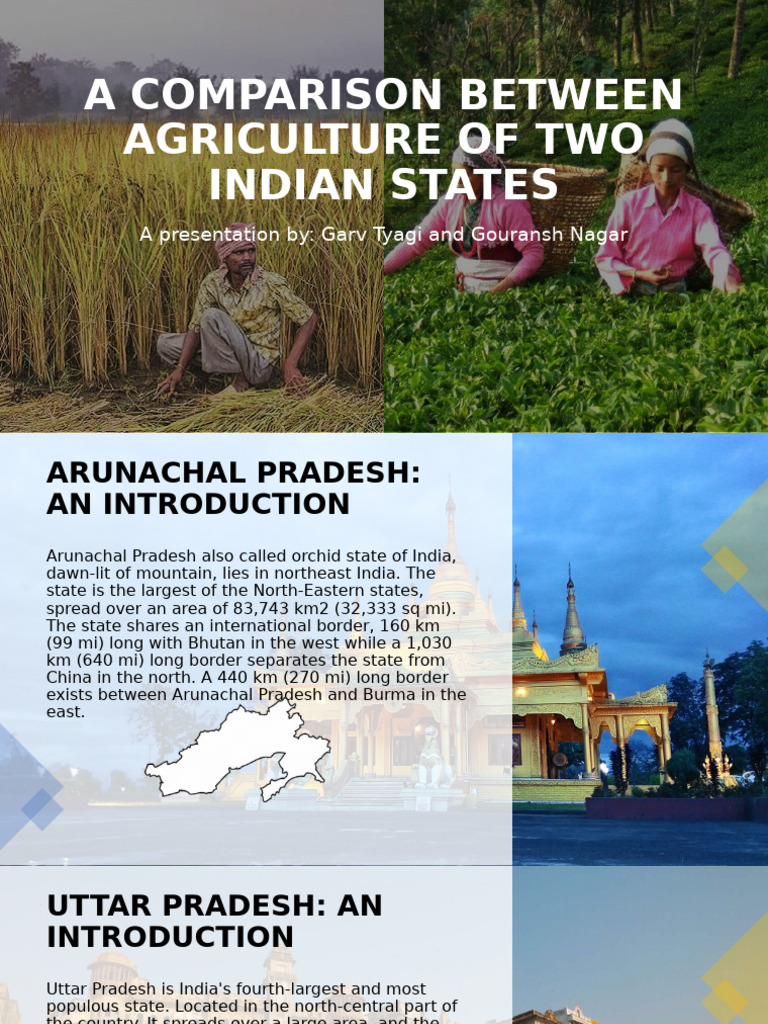 FARM.SCIENCE PROJECT | PDF | Agriculture | Rain
