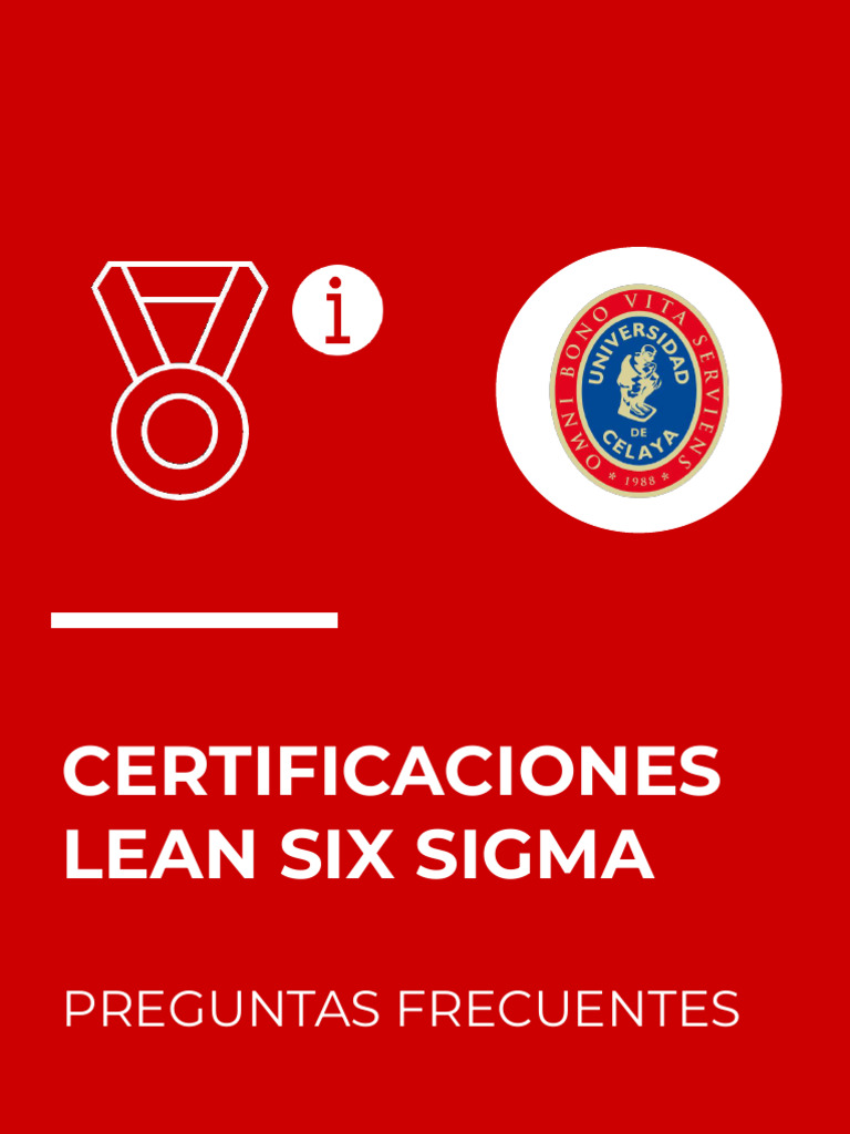 Lean Six Sigma | PDF | Six Sigma | Business