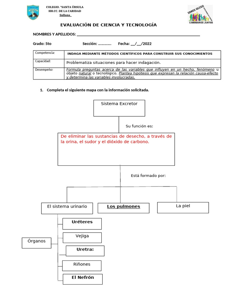Resuelta Evaluación de Ciencia y Tecnología Quinto Grado Ii Trimestre ...