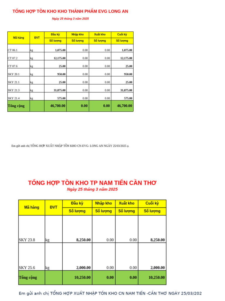 Tong Hop Ton Kho | PDF