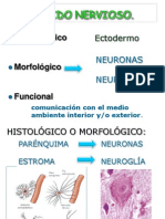 Histologia Del Tejido Nervioso