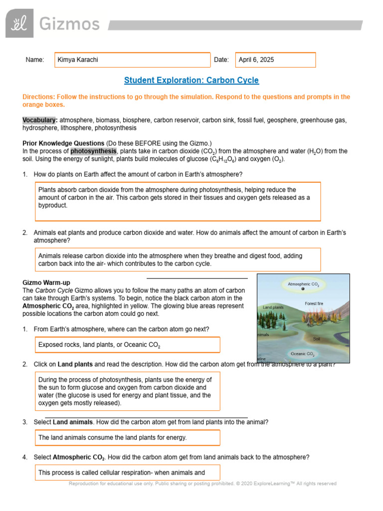 Section 04, Gizmos_ Carbon Cycle | PDF | Carbon Dioxide In Earth's ...