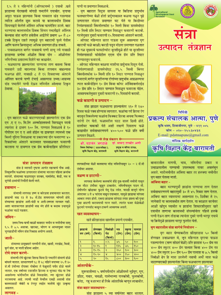 24 Orange | PDF