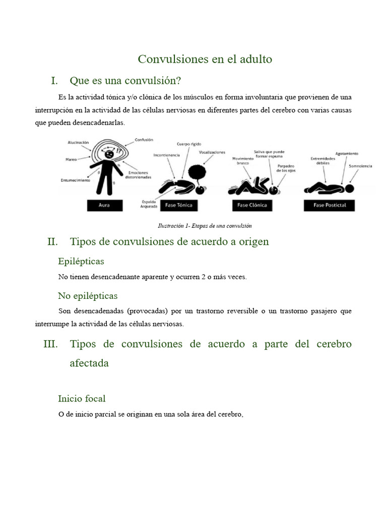 Convulsiones en El Adulto | PDF | Epilepsia | Enfermedades y trastornos ...