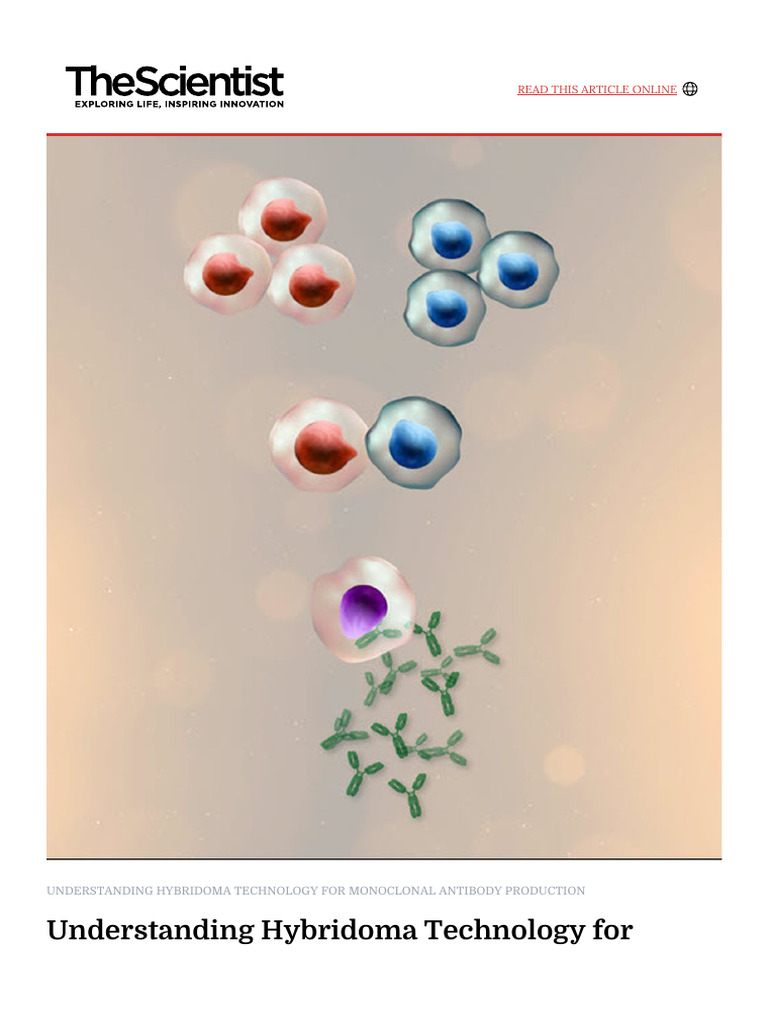 Understanding Hybridoma Technology For Monoclonal Antibody Production ...