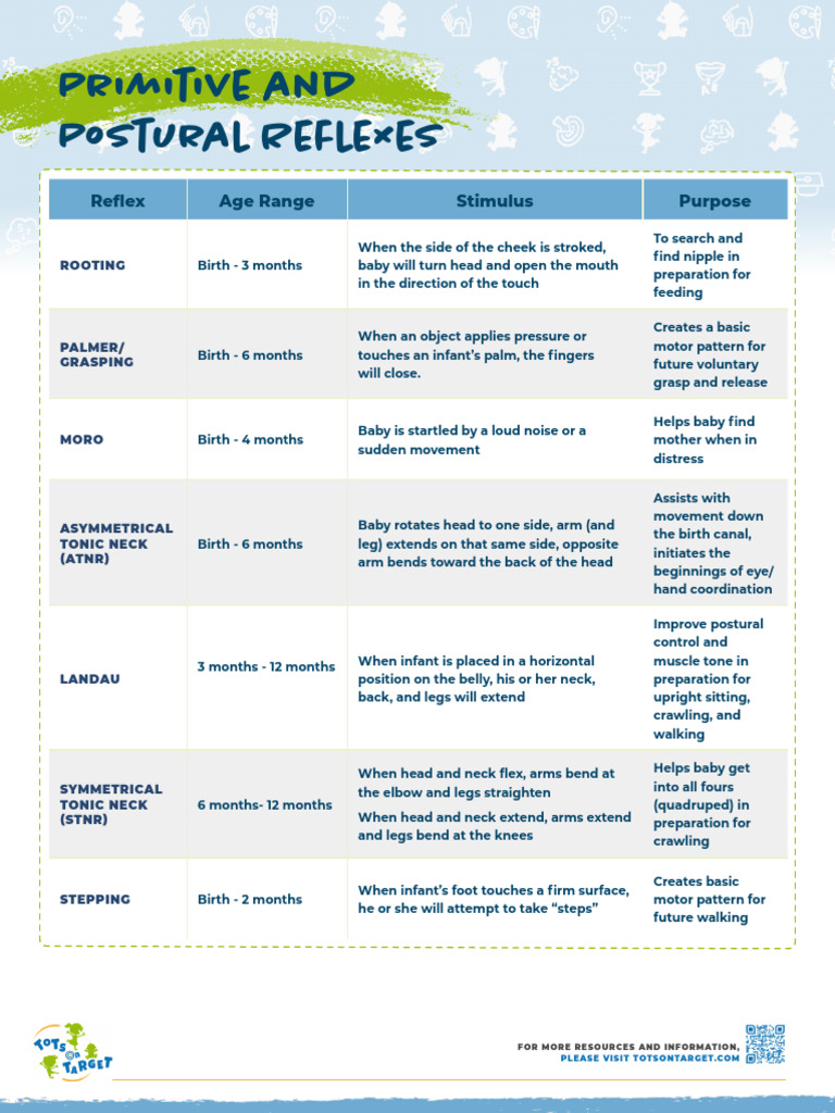 Infant Primitive Reflexes Explained | PDF | Hand | Infants