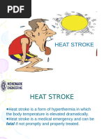 Heat Stroke: Causes, Symptoms, and Management | PDF | Hyperthermia | Stroke