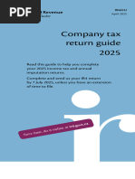 IR8A & Appendix 8A Completion Guide 2025 | PDF | Cost Of Living | Taxes