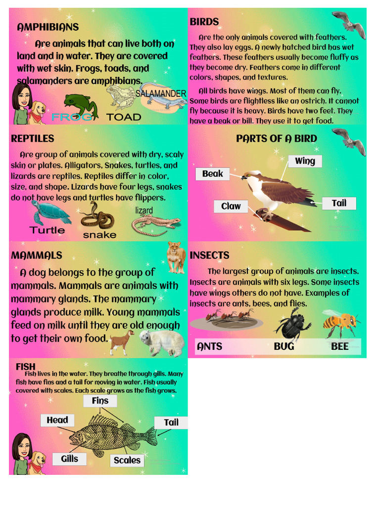 Animals | PDF