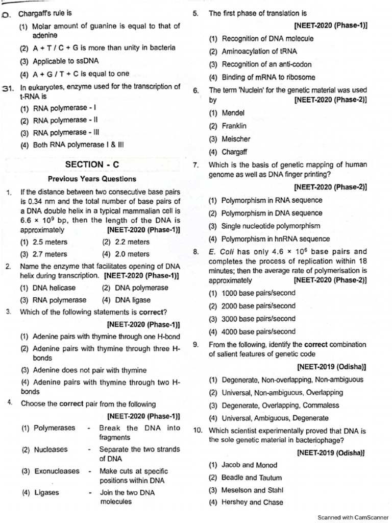 Molecular Basis of Inheritance PYQS | PDF