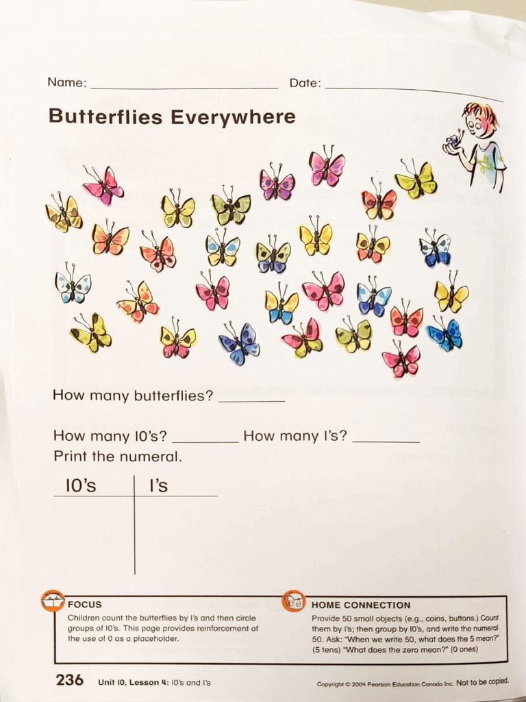 Butterflies Everywhere | PDF