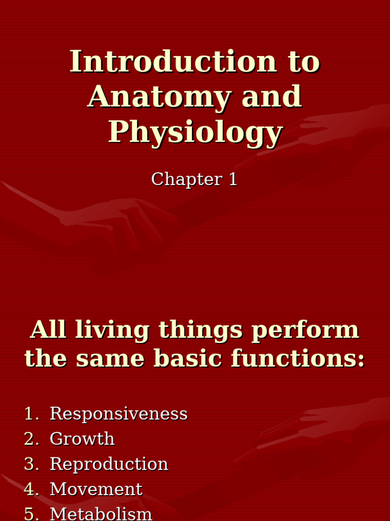 Chpt. 1 Intro To Anatomy and Physiology | PDF