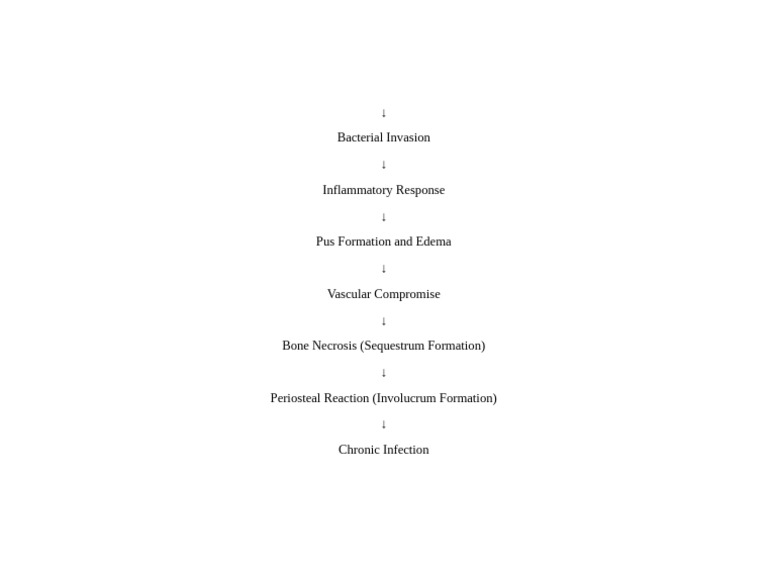 Osteomyelitis Pathophysiology Flowchart | PDF