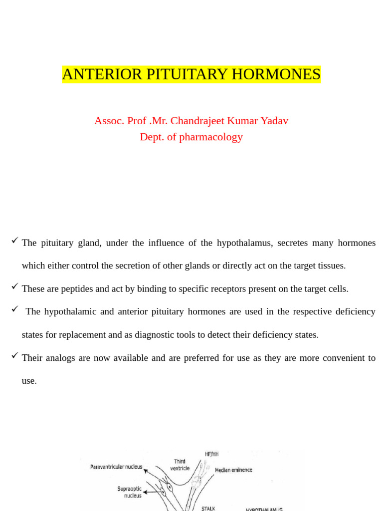 Anterior Pituitary Hormones Overview | PDF | Luteinizing Hormone ...