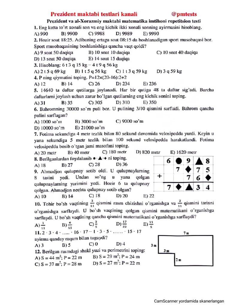 81-Rep Test 2024 | PDF
