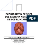 Exploracion Clinica Del SN de Los Rumiantes
