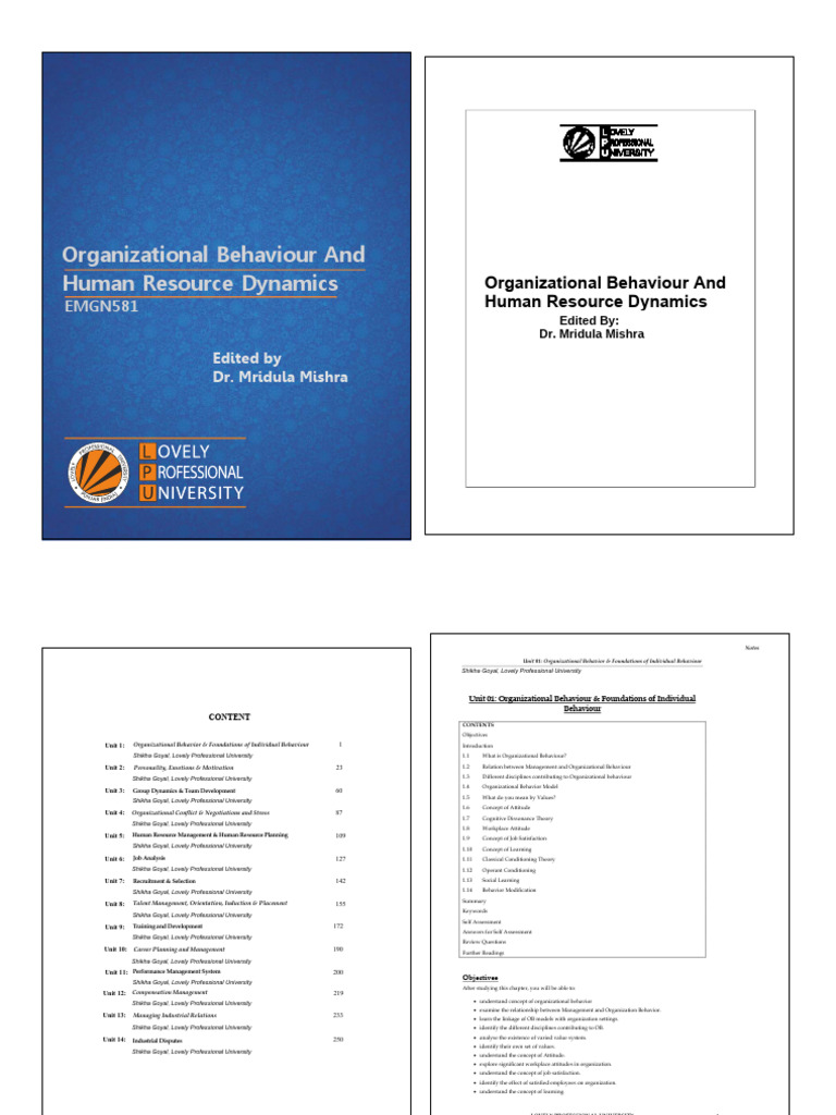 Understanding Organizational Behavior Dynamics | PDF | Attitude ...