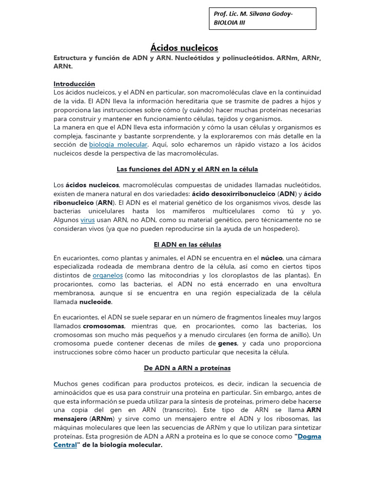 Acidos Nucleicos | PDF | Rna | Adn
