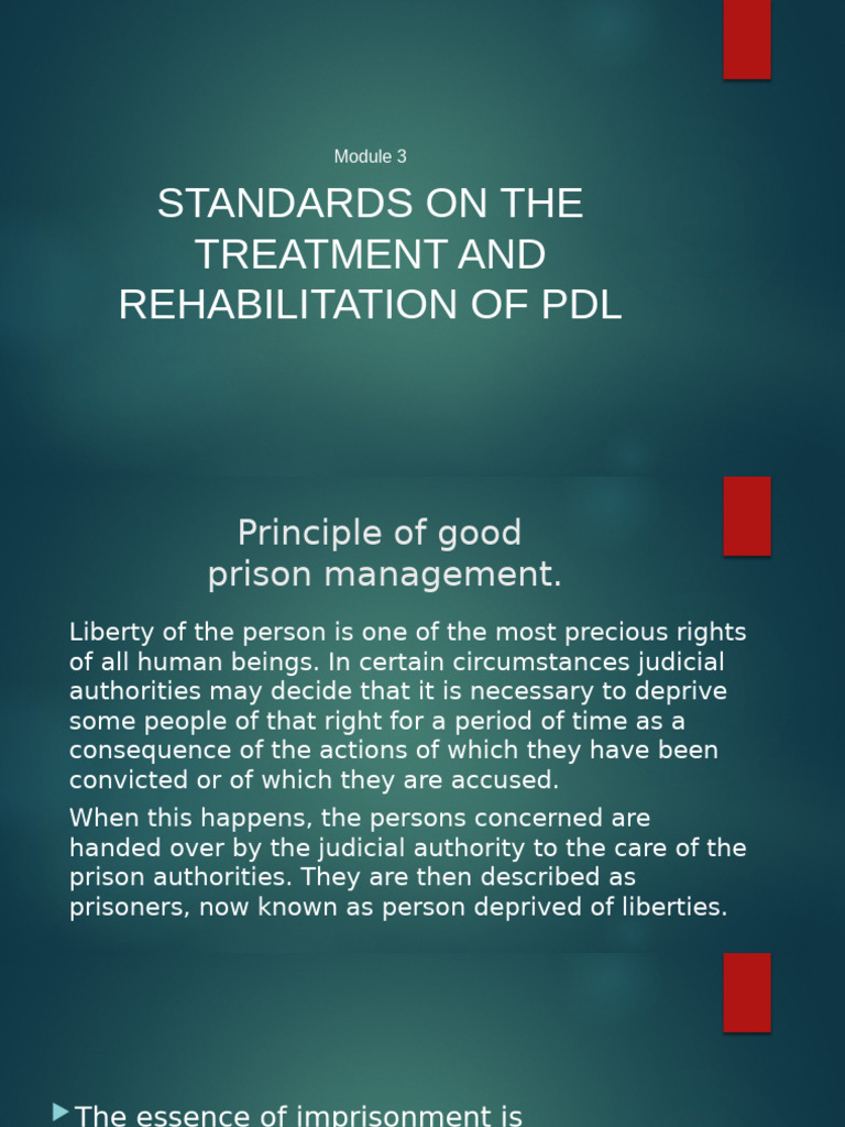 Standards for Treatment of PDL | PDF | Prison | Use Of Force