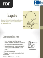 anatomia Ísquio