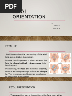 Understanding Normal Fetal Situs | PDF | Fetus | Anatomical Terms Of ...