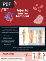 Colocación de Catéter Doble J | PDF | Sistema urinario | Riñón