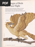 【Ｔ＆Ｔ】 Alexander (2011) - Dinosaur To Bird Transition | PDF | Birds