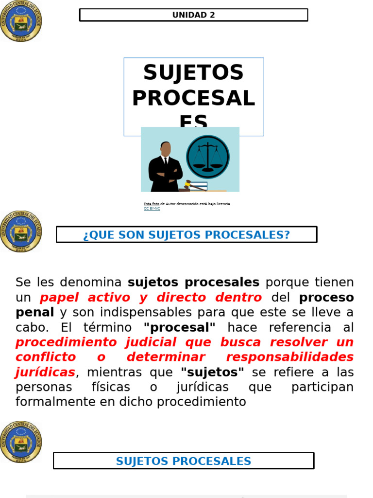 Sujetos Procesales | PDF | Debido al proceso | Victimologia