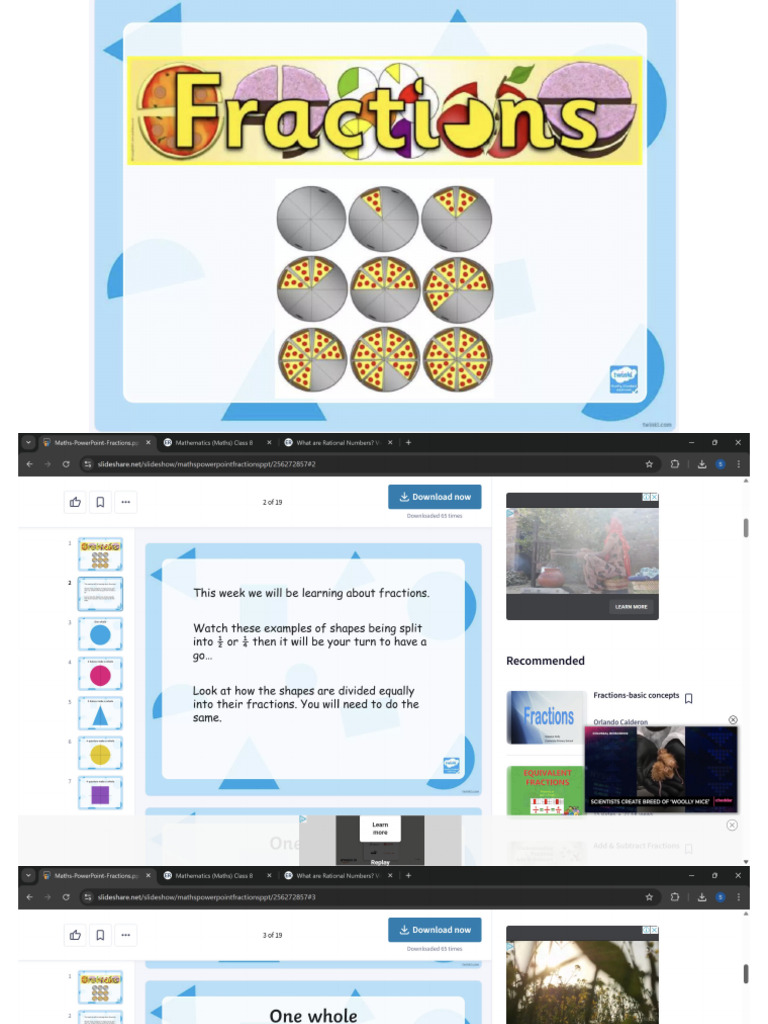 Fractions Basic | PDF