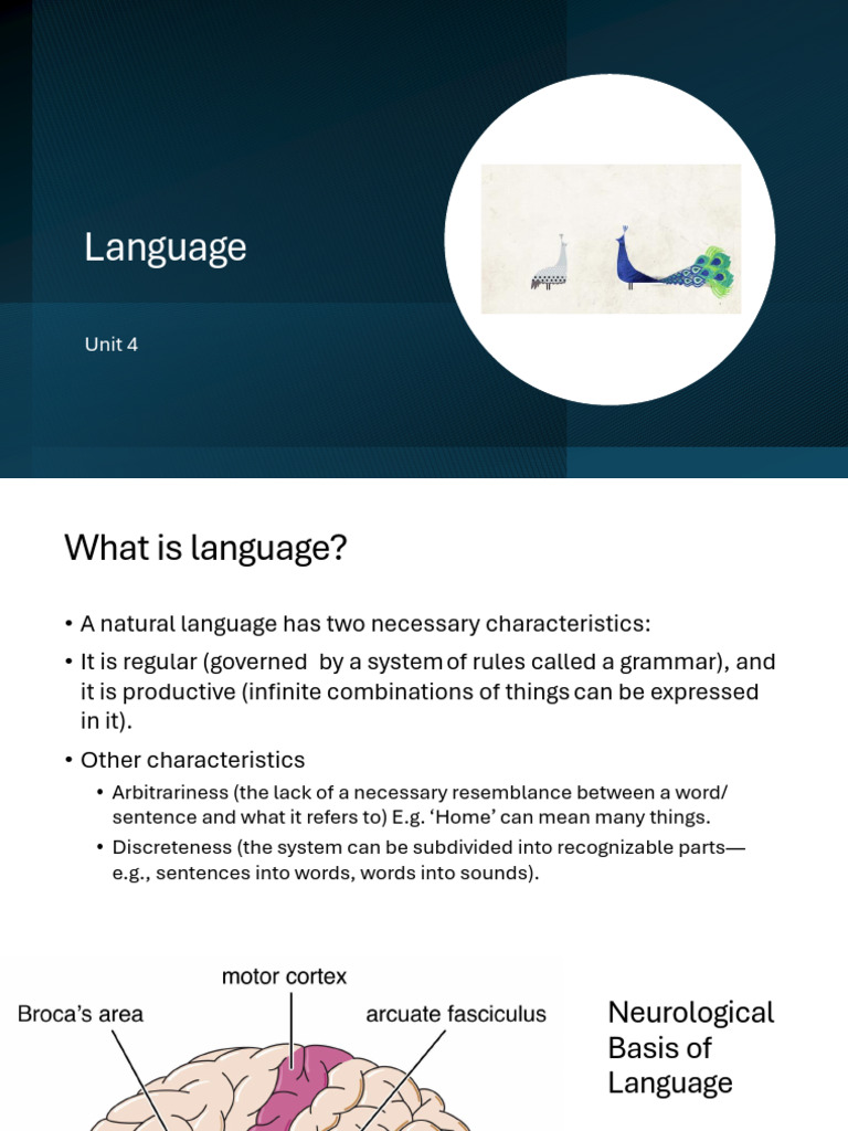 Understanding Language and Cognition | PDF | Speech | Aphasia