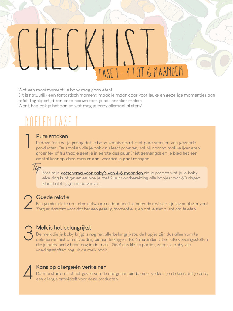 Fase 1 - Checklist | PDF