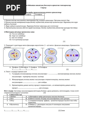 Украина, Николаев облысы, Вознесенск қаласы, жезөкшелер