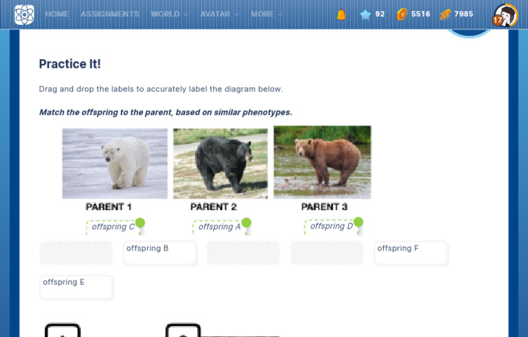 PendaWorld Offspring Matching Activity | PDF
