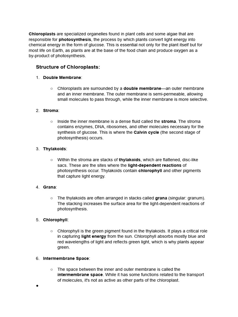 Understanding Chloroplast Structure and Function | PDF