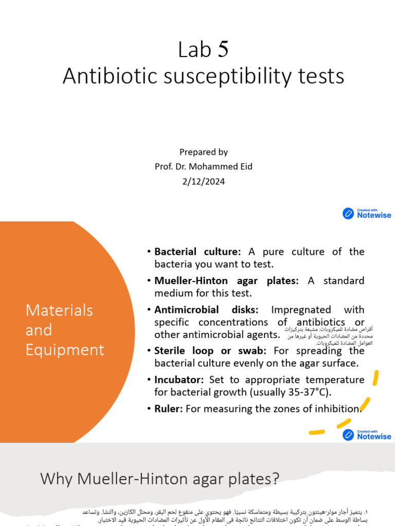 Antibiotic Sensitivity Testing Protocol | PDF | Microbiology