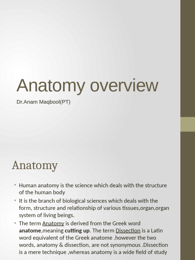 Overview of Human Anatomy Basics | PDF | Anatomy | Anatomical Terms Of ...