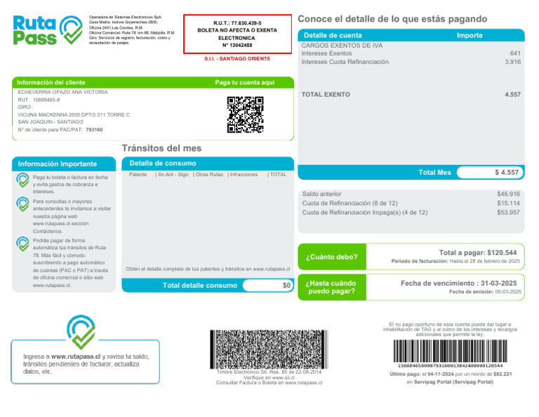 Boleta Operadora Sistemas Electrónicos SpA | PDF
