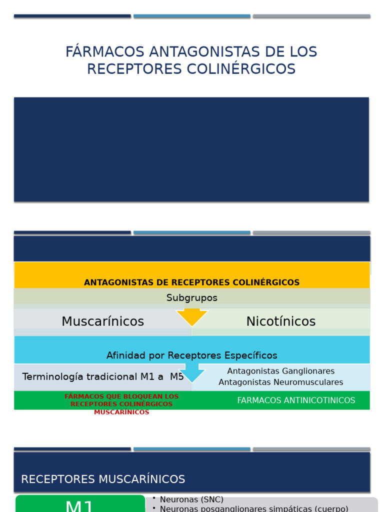3-farmacos-antagonistas-muscarinicos-pdf-nervio-vago-acetilcolina