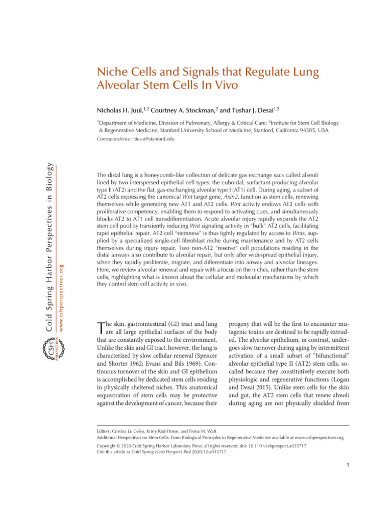 Juul Et Al. - 2020 - Niche Cells and Signals That Regulate Lung Alveola ...