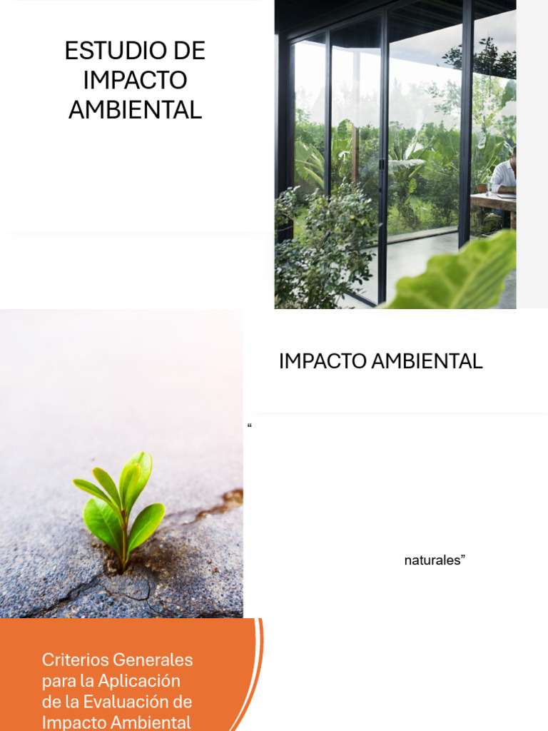 Estudio de Impacto Ambiental: Guía EIA | PDF | Evaluación de impacto ...