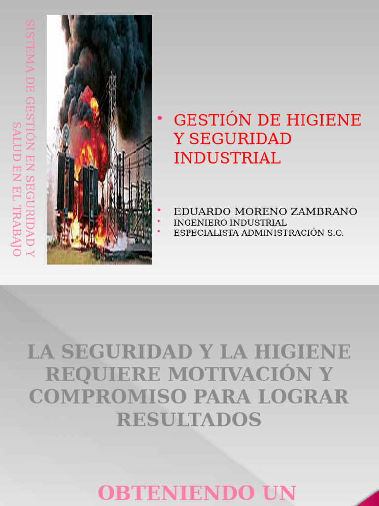 Gestión de Higiene y Seguridad Industial | PDF | Valores | Higiene ...