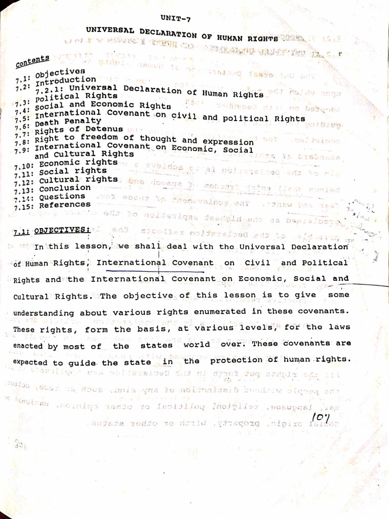 Human Rights | PDF